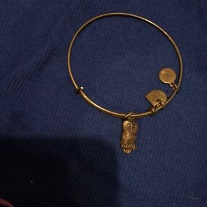 Alex and ani bracelet🔴